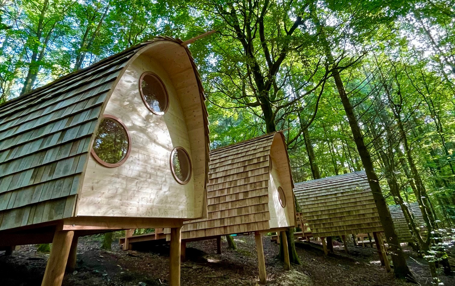 Nat i Naturen: Sov i shelter